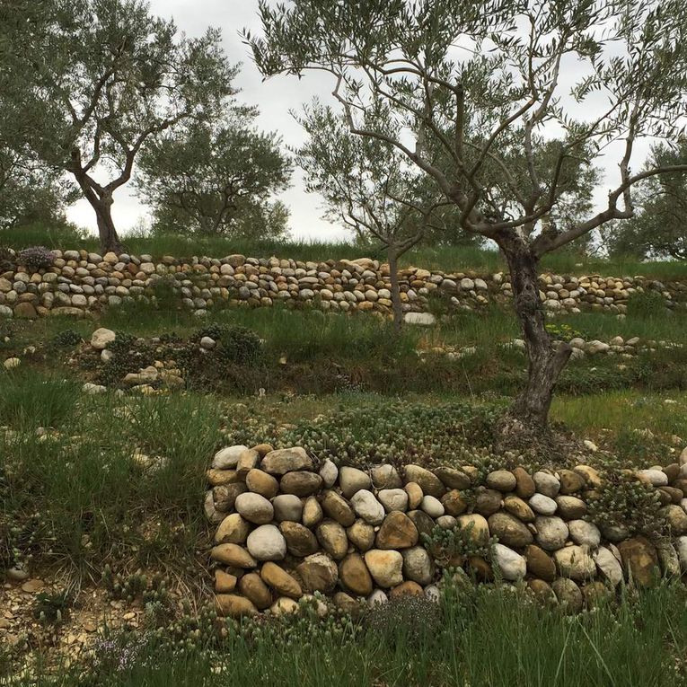 Mur en pierres sèches à Riez