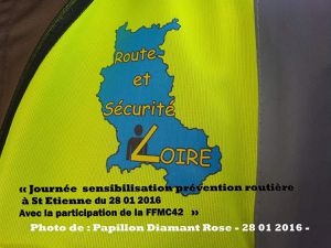 Photo de : Papillon Diamant Rose 28 01 2016