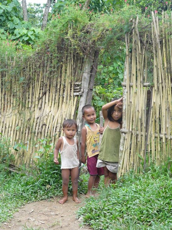 Album - Les-Philippines---Palawan