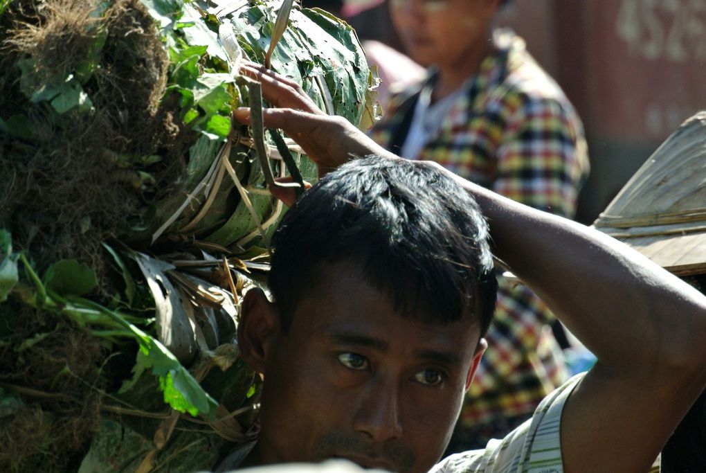 Album - Myanmar