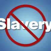 NGOs fighting slavery : CAST, End Slavery Now and Walk Free - Fight Slavery !