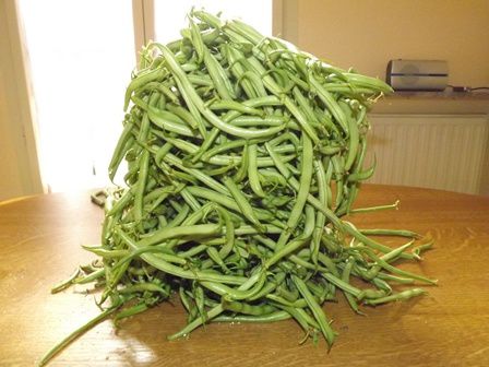 Haricot vert !!