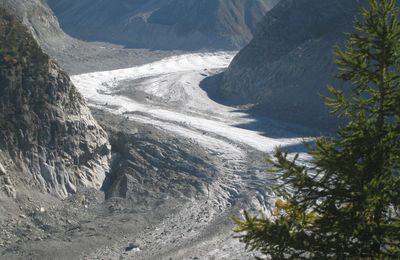 mer de glace et les drues