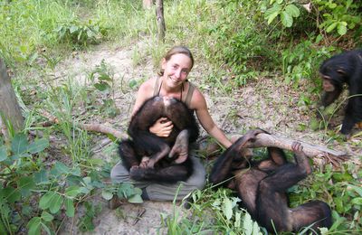 après 6 mois et demi de bénévolat avec les Chimpanzés