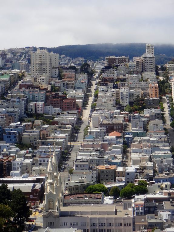 1ère escale sur la côte californienne : San Francisco