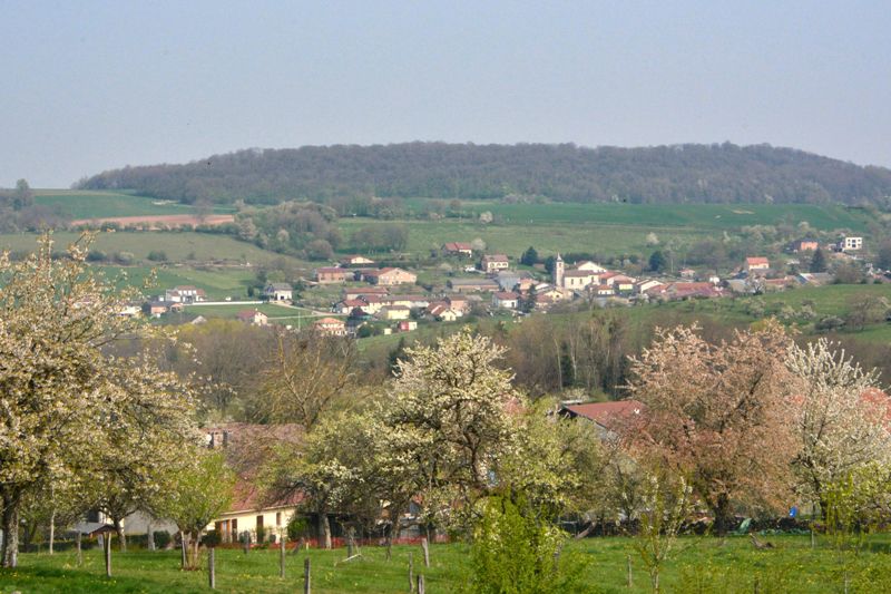 Marche du 14 Avril 2022