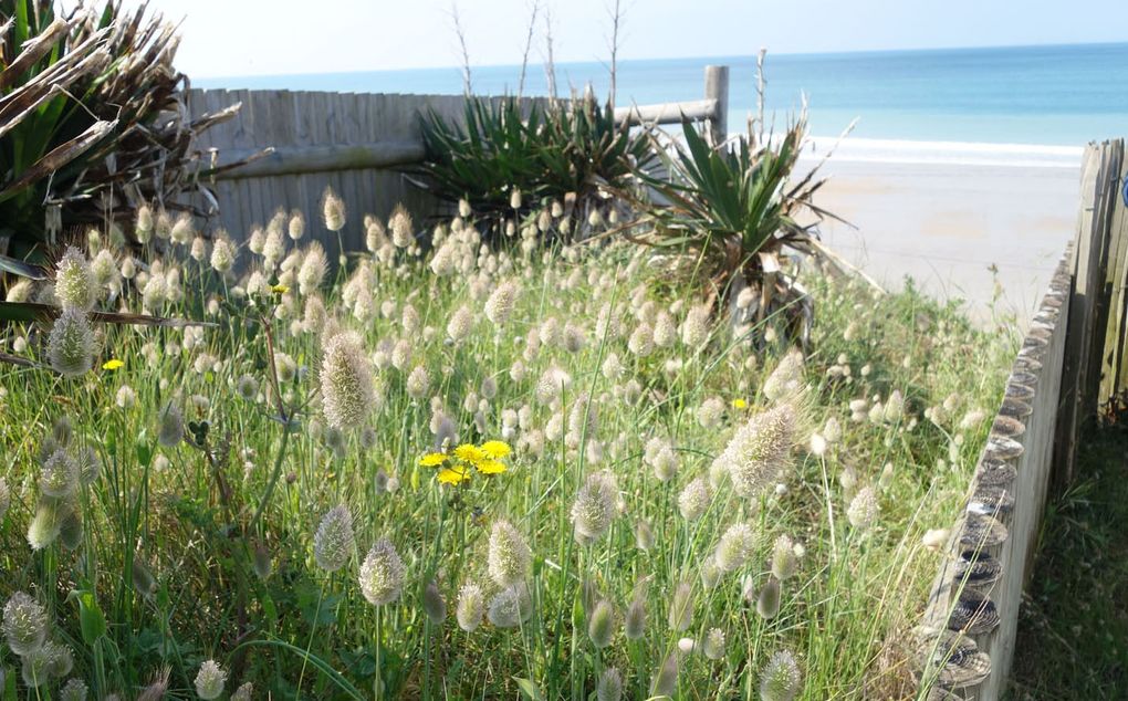 Séjour dans le Cotentin mai 2023