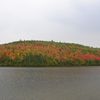 Canada 2007: Les baleines à Tadoussac