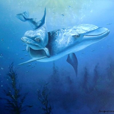 Les dauphins