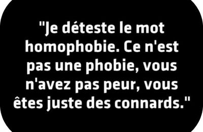 Journée de lutte contre l'homophobie et la transophobie.