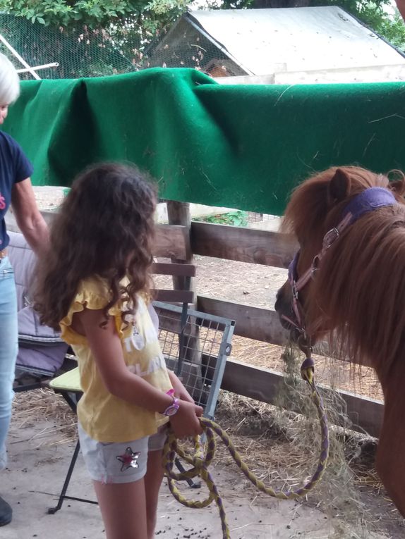 Sortie à la ferme, pour le groupe de CP...