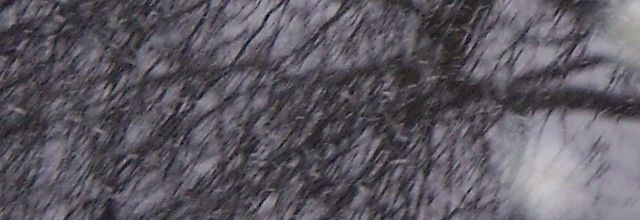 Il neige... bis.