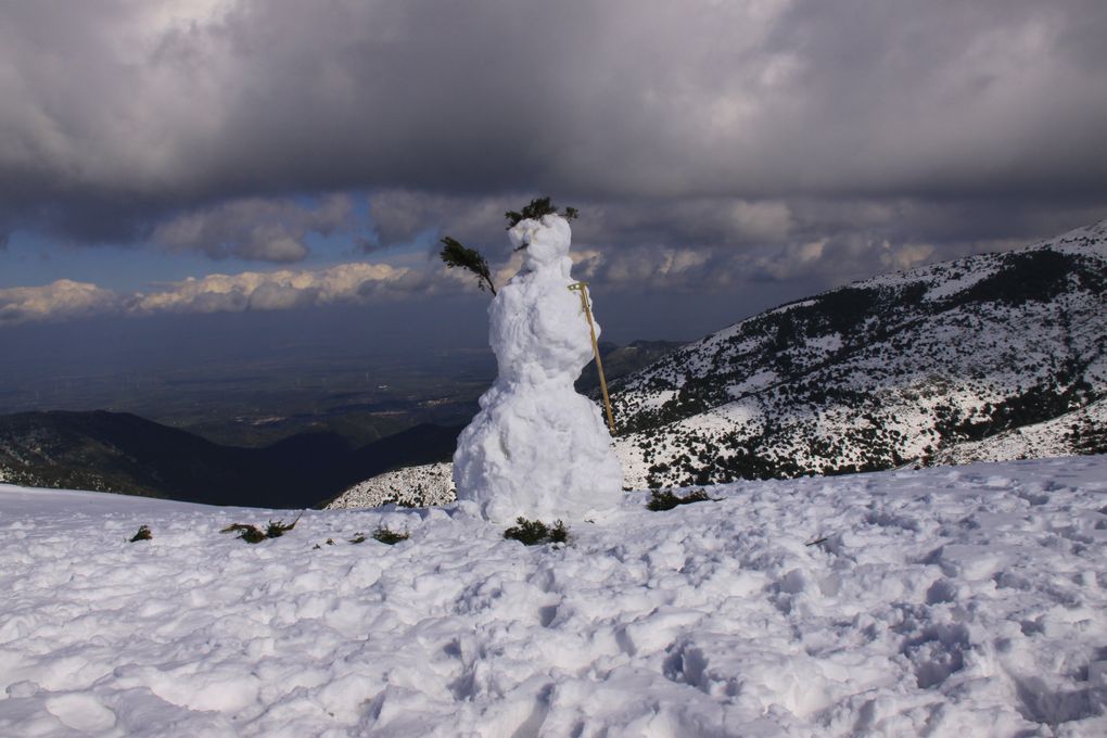 Album - linas-e-villacidro--neve-di-febbraio