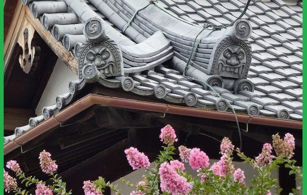 Photos : sur les toits de Nara