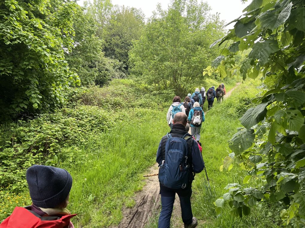 Randonnée de Bussy-Saint-Georges à Ozoir-la-Ferrière - 18 km.