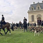 Saint-Pierre-Aigle : une femme enceinte tuée par des chiens ? Une chasse à courre à proximité !!! - MOINS de BIENS PLUS de LIENS