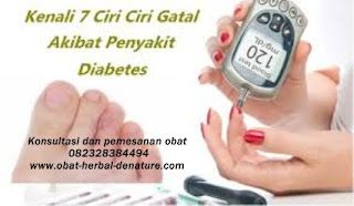 Tanaman Obat Diabetes Kering