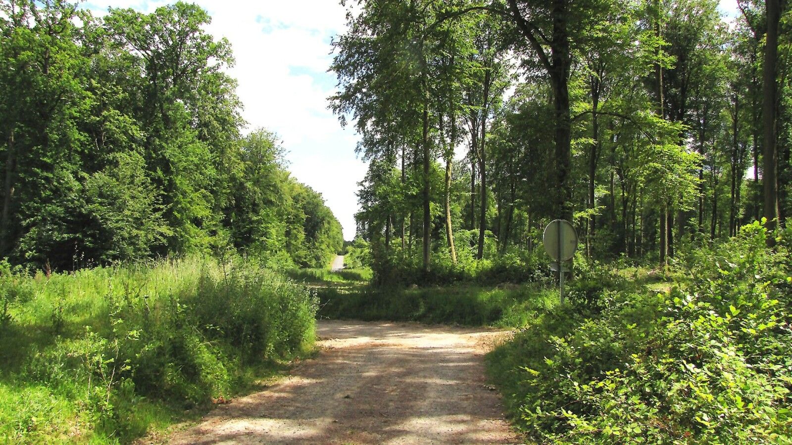 la Laie des Verriers