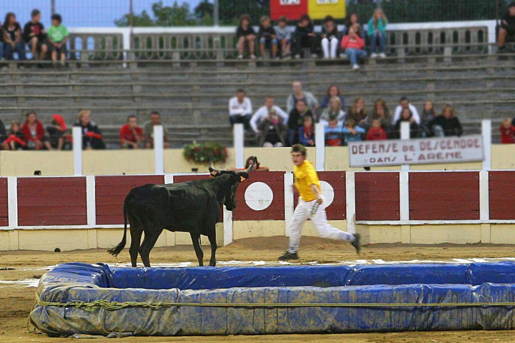 Arènes Parentis 13-08-2010
Croque-vache contre les Pompiers!!