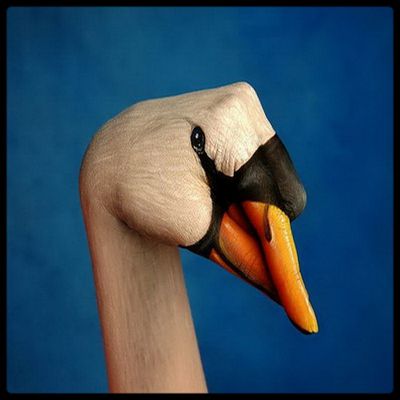 Album - Handimals hand art: Les animaux avec des mains de Guido Daniele