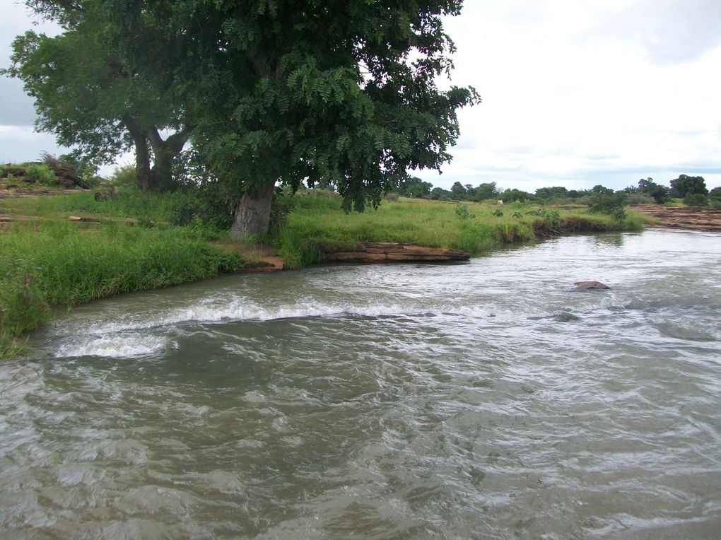 Découverte de la région de l'Est, tout près des frontières nigérienne et béninoise et presque au coeur des parc de l'Arly et du W...