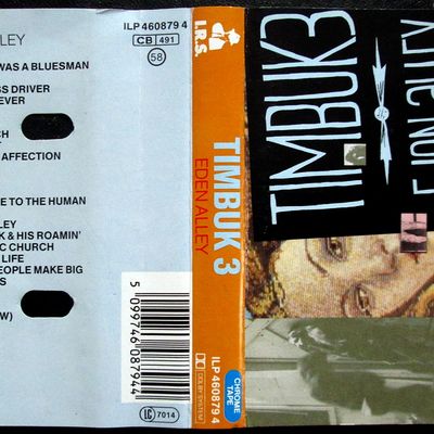 Timbuk 3 - Eden Alley - 1988