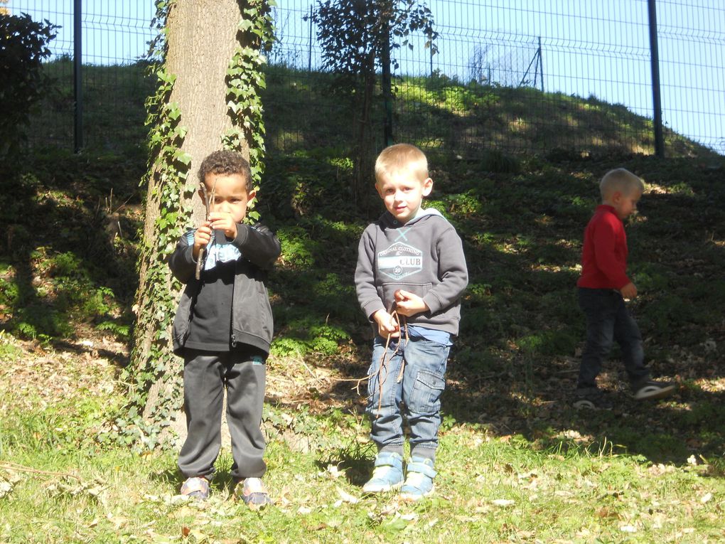 &quot;Land-art&quot; avec les MS: les lignes verticales