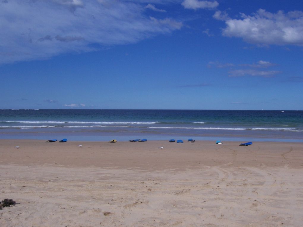 Ein geiles Wochenende an dem berühmten Bondi Beach. Und noch mehr Spaß beim Surfen...