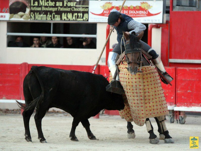 St-Martin-de-Crau Samedi 8 octobre 1011 Journée du Revivre de la Feria de la Crau Tienta de macho et de vacas et Lidia de 4 toros Ganaderias : Giraud-Malaga-Yonnet