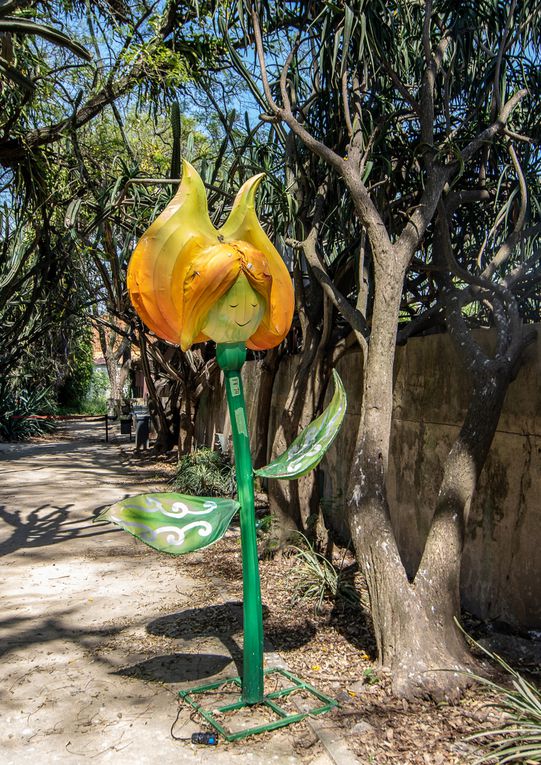 Jardin botanique