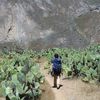 Arequipa et le canyon de Colca