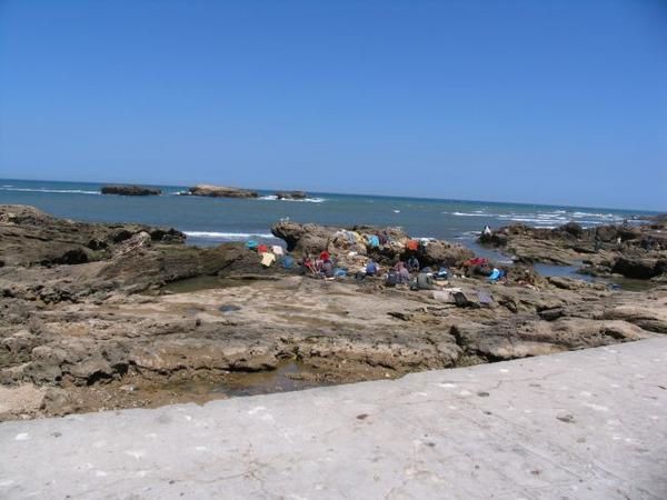 quelques 106 photos d'Essaouira, de son port, de ses mouettes et de ses chats plus ou moins mités