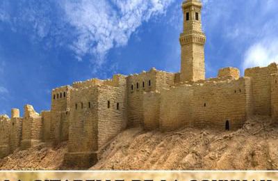 la citadelle de la sunnah ( dvd )