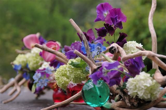 farandole de fleurs en couleurs