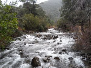 Parque Huerquehue- Chili