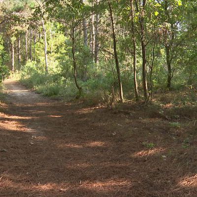 Des habitants ont remporté une double-victoire juridique pour sauver 17ha de forêt dans les Landes