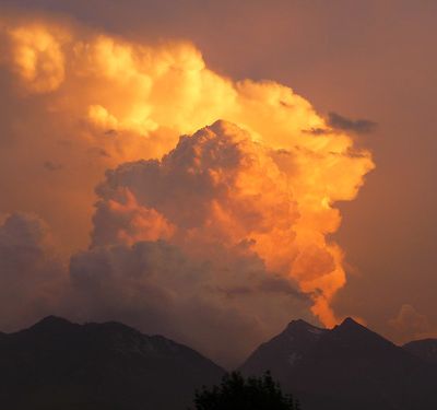 Je vole quand je veux! (l'invité du vendredi)