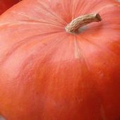 Courge : Chutney &amp; Co - www.lesjardinsdalice.ch