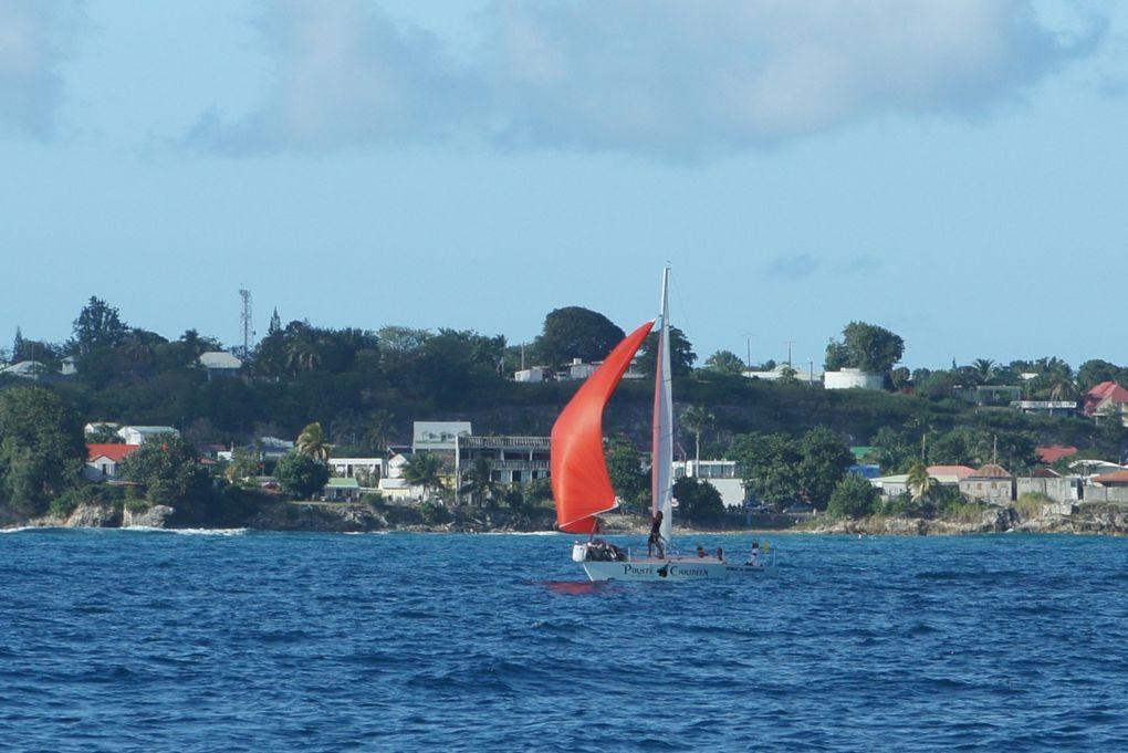 Album - Trophee-Open-Voile-de-St-Francois-2011-2