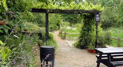 Camley street natural park