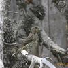 Bivouac dans le Vercors