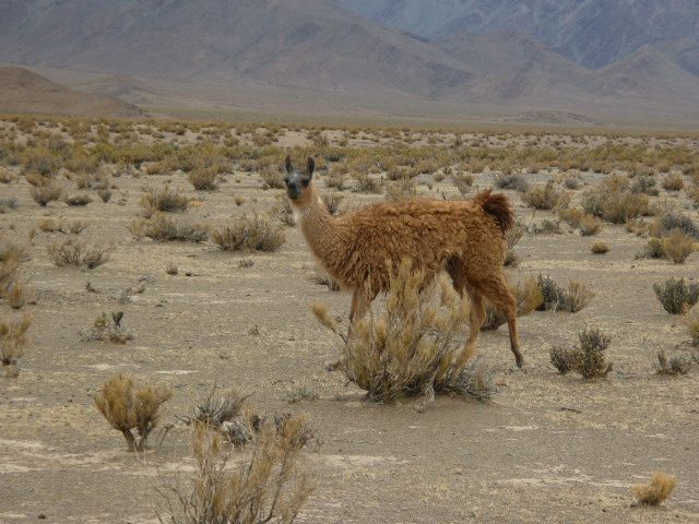 Album - 03.Argentine Nord-Ouest