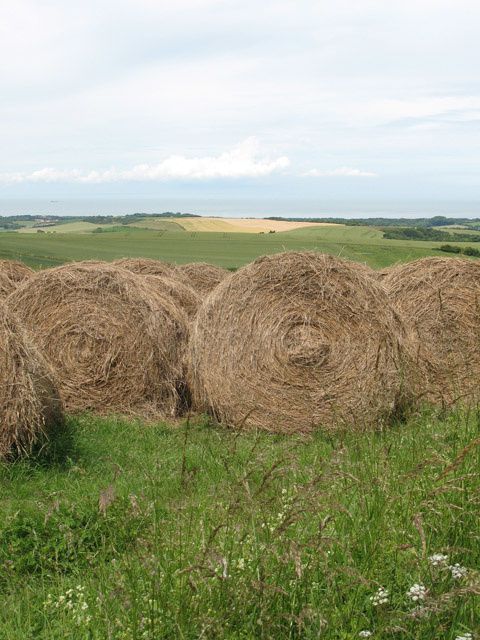 Randonnée en juin 2009..