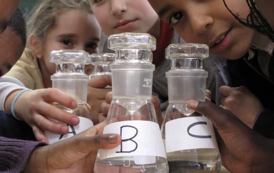 Une école de Colombes remporte le concours «Graine de goûteurs»