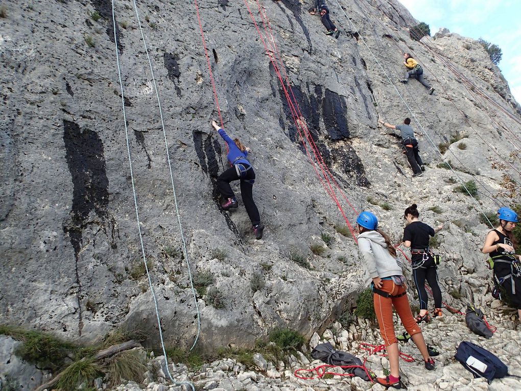 Préparation au raid à Orgon