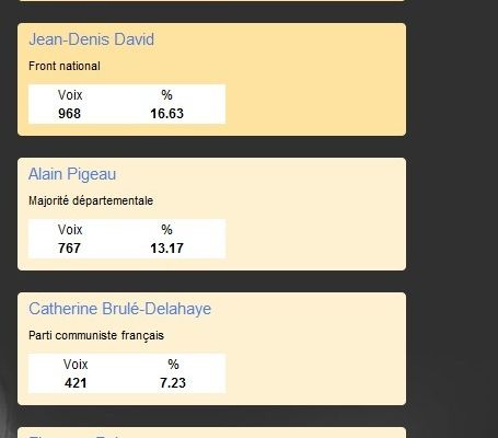 Cantonales Le Mans Sud - Est : les résultats du 1er tour