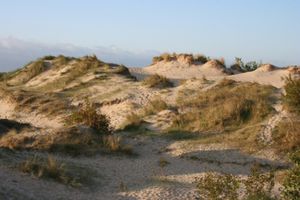 Les Dunes du Perroquet
