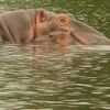 Lac de tengréla avec ses hippos