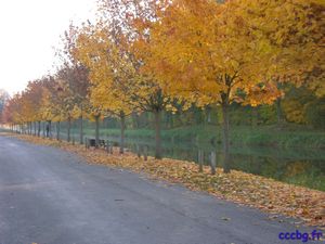 Vitry aux loges, camping-car-club-Beauce-Gâtinais