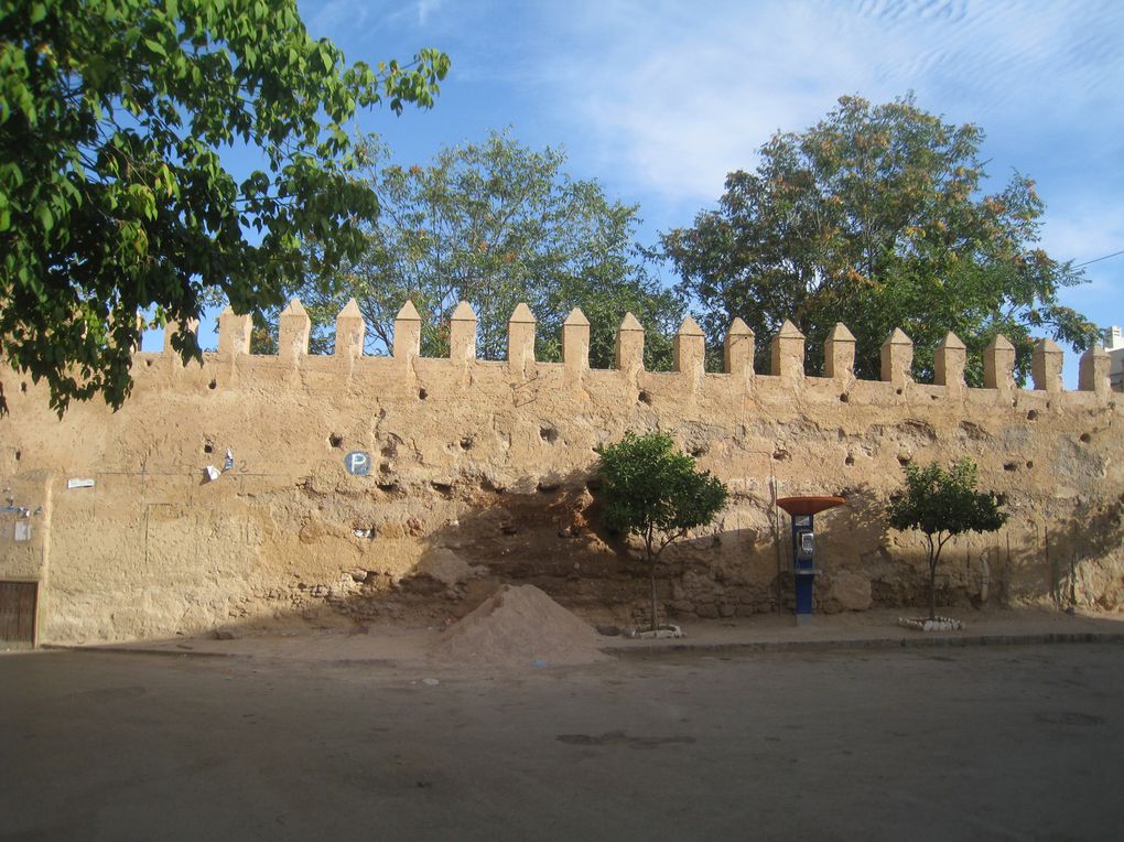 Album - زيارة إلى المغرب